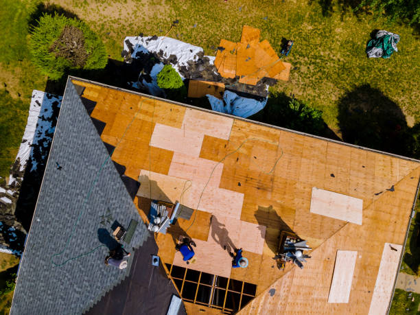 Best Storm Damage Roof Repair  in USA